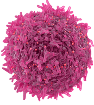 Cancer Cell