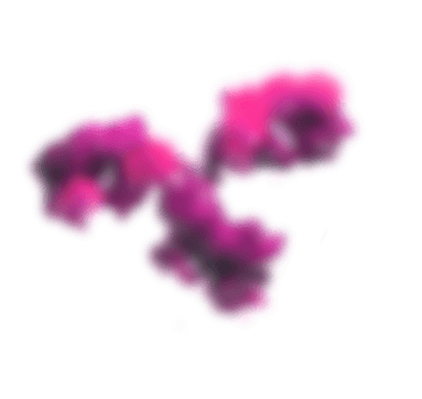 immuno cell blur