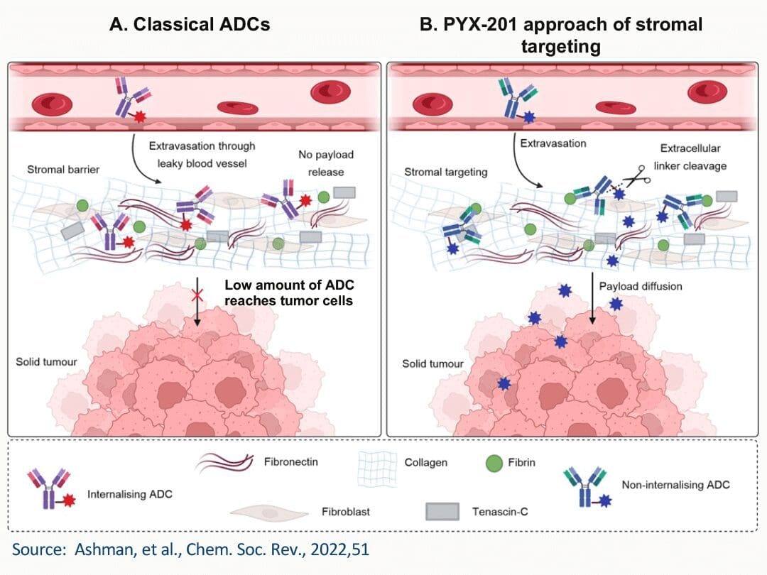 PYX-201 graphic -Classical ADCs vs PYX-201 approach of stromal targeting