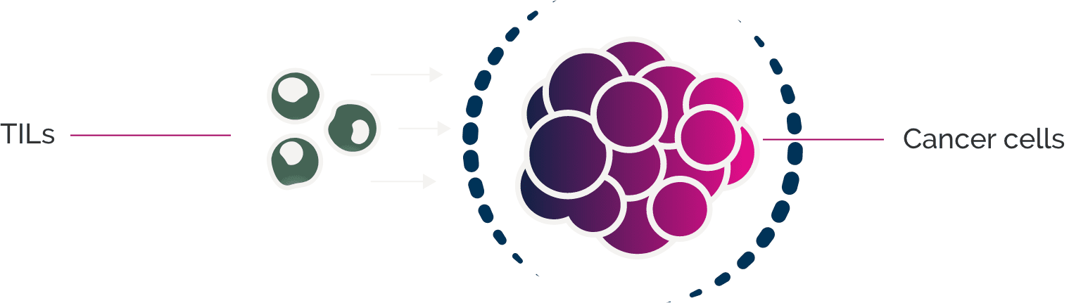 approach current immuno-oncology therapeutics